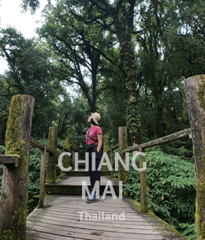 monstorries travel photo chiang mai
